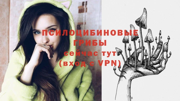 PSILOCYBIN Абаза
