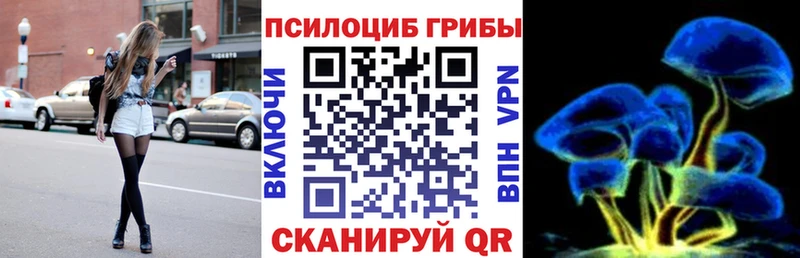 купить наркотик  Зубцов  Псилоцибиновые грибы Cubensis 