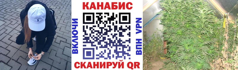 darknet официальный сайт  Зубцов  Канабис AK-47 